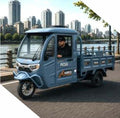 RDB E-kargo cu volan triciclu electric