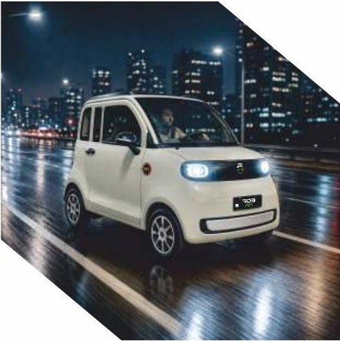 RDB MP1 masina electrica