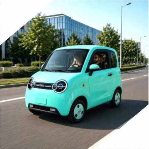 RDB BONTU masina electrica